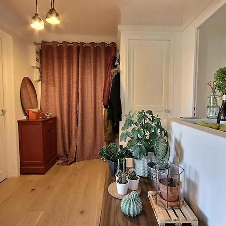 Centre, Proximite Port, Plages Et Calanques